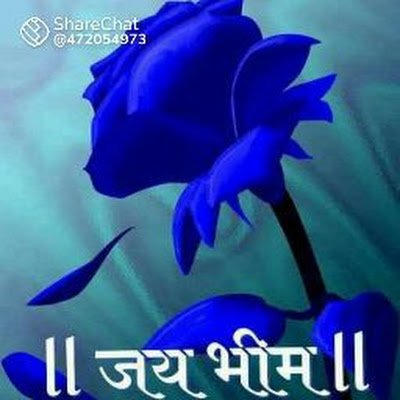 Dashrathkumarvaniyatiloda(jeetu bhai )