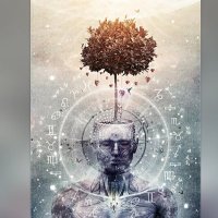 Chief (@chief00087810) 's Twitter Profile