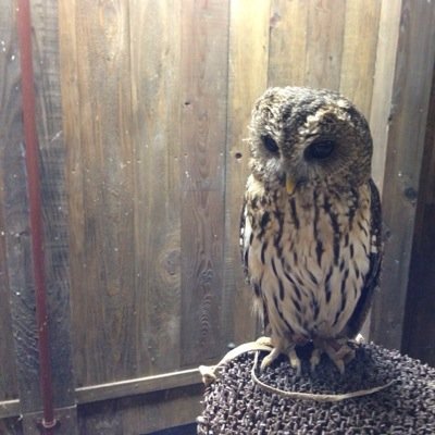 rie_ii's profile picture. 