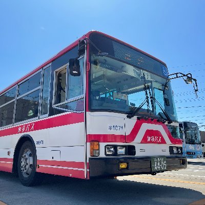 chitabus_jp Profile Picture