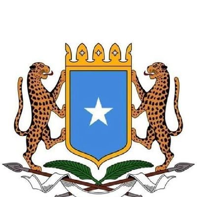 Welcome to the twitter account of the embassy federal Republic of somalia in New Delhi India