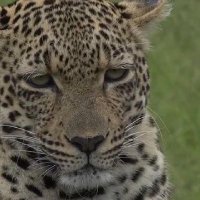 Hilary kirby (@hilskirby) 's Twitter Profile