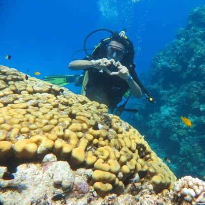 iel4e5's profile picture. 