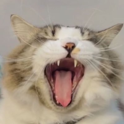 Tioteresiaaa's profile picture. You were given this life because you are strong enough to live it