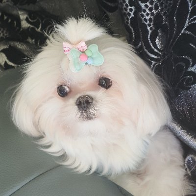 artcap80's profile picture. 코코♡