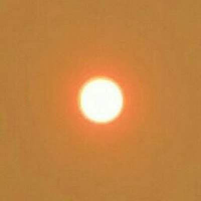 JimMcKa29461508's profile picture. Conservative Christian Patriot, 5th-generation San Franciscan now living in the Northern California mountains.