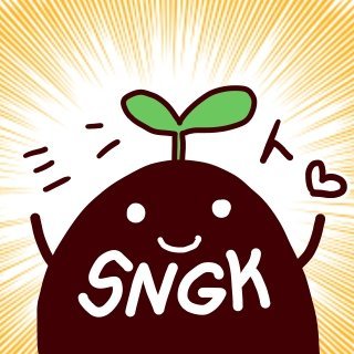 SNGKさんのプロフィール画像