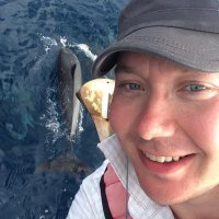 Mikko Valtonen (@mikkojvaltonen) Twitter profile photo