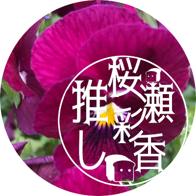 せつ🎩🧂🥄さんのプロフィール画像