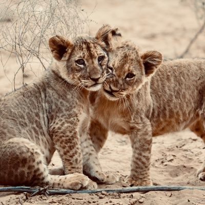 jai_sukka's profile picture. Je ne sais pas.