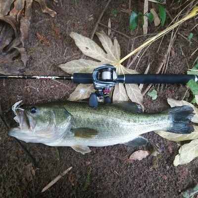 千葉県在住の週末オカッパリアングラーです！
いきなりのフォローお許し下さい🤣
アブガルシアのリールをメインに使ってます🎵