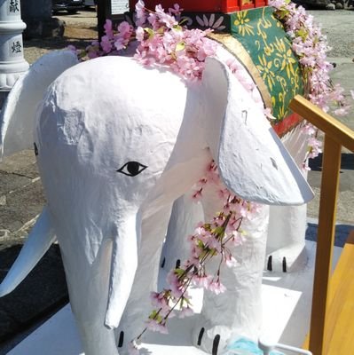 思いついたことを言う🐘
大学で死生学を勉強している自死遺族です。
趣味で舞妓さんや漫画小説関係のポストもいいねする雑多アカウント