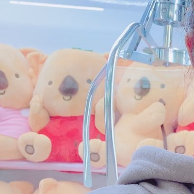 俺たちに奇跡はいらない‼️