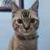 herviera rosita๐ (@herviera) Twitter profile photo herviera rosita๐ (@herviera) Twitter profile photo