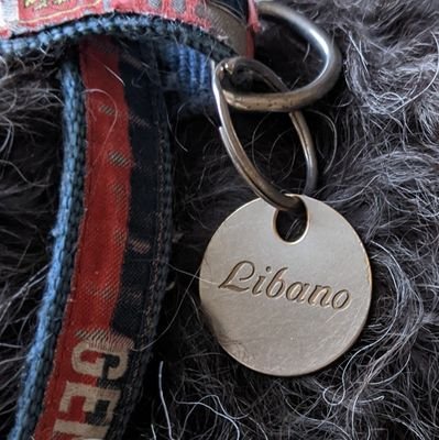 marfante's profile picture. La verità prima o poi viene a galla. Per ognuno, la forma svanirà e la sua sostanza emergerà.