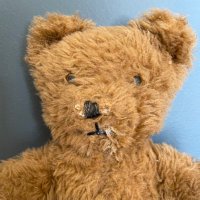 An English Bear(@UrsusClan) 's Twitter Profile Photo