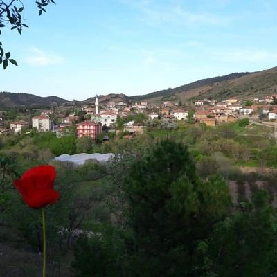 🇹🇷NE MUTLU TÜRK'ÜM DİYENE 🇹🇷