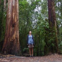 caterina (@barrassoc) 's Twitter Profile