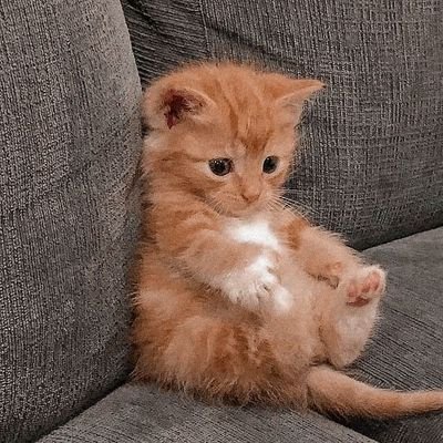 dnb_47's profile picture. rrrrrrrr...