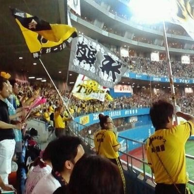 bethetop_tigers's profile picture. 毎年新年は神社に初詣し、クリスマスにはクリスマスツリーを飾り、天国に旅立つ方をお寺でお送りします。それが何か？