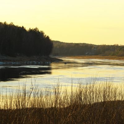 KipyatokX's profile picture. 