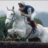 HorseRaceBase (@horseracebase) 's Twitter Profile