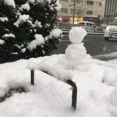 TikToksukikirai's profile picture. 有罪モラトリアム