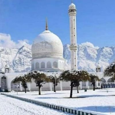 FaizanB17050532's profile picture. 