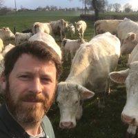 guillaume gauthier (@ggauthier71) 's Twitter Profile