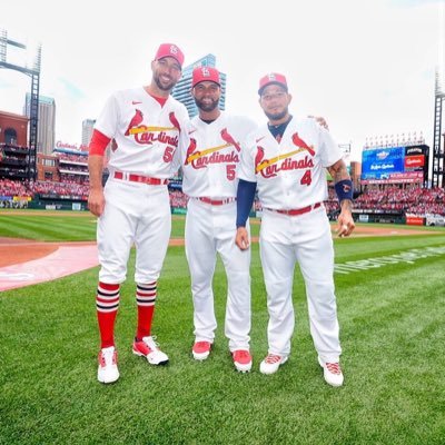 St. Louis Cardinals/Blues (aka best teams around) 📍#SOUTHERNIllinois #GOCARDS #GOBLUES