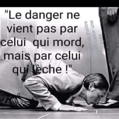 🌿Écoutez E. Zemmour !!🌿
Regardez le et faites vous votre propre opinion !!
Ne vous laissez pas manipuler par les médias islamogauchistes qui l'ostracisent !!