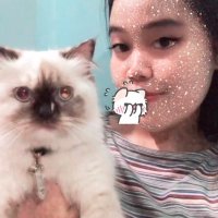 whatbad (@dinasaurus4646) 's Twitter Profile