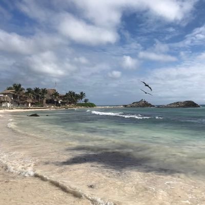 lange__casandra's profile picture. 