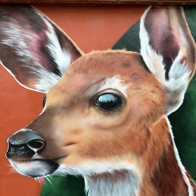 Sole665031592's profile picture. 