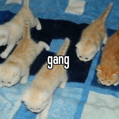 18anjfdifu's profile picture. 