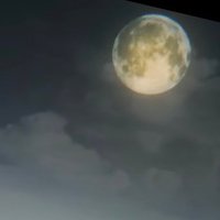 てん (@ten_exchange) 's Twitter Profile