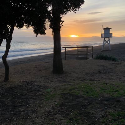 GonzaCasado's profile picture. 📈📉