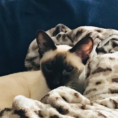 donnahall1967's profile picture. 