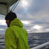 1LobstaMan1's profile picture. Lobster fisherman | I share ALPHA on web3 gaming  and much more. |