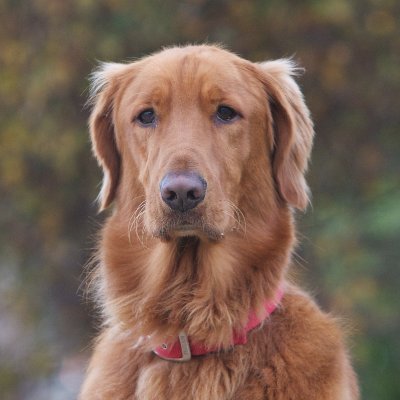 rsmithnine's profile picture. 