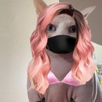 Bicolanang18 (@coleeeng98) 's Twitter Profile