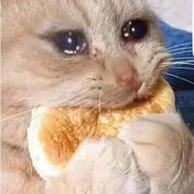 notapolymath's profile picture. 