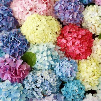 選手が歩く道にひたすらお花を植える係💐筆まめ。壁打ち。INFJ。跳馬オタ。ジュニア体操🫶🏻宮地秀享.谷川航&翔.千葉健太.鈴木大介.宮田笙子.鈴木良音.神山遥人.岡田榮心.赤堀早朱慶🫶🏻セントラル順大市船🫶🏻『楽しく自分らしく』『誰かを深く愛せば、強さが生まれる。 誰かに深く愛されれば、勇気が生まれる。』