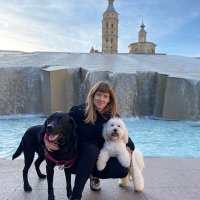 Cristina Rodríguez Yagüe (@cristinaryague) 's Twitter Profile Photo