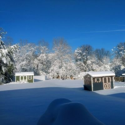 Gr8ies's profile picture. 