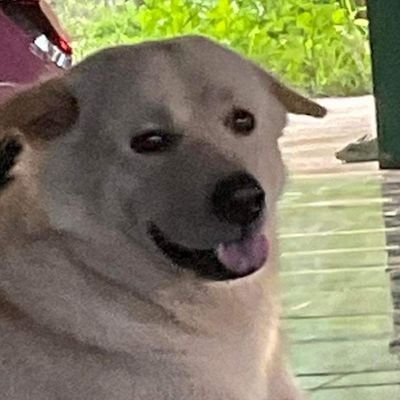 dmsp888's profile picture. 