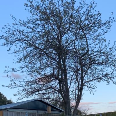 DylanWallinger1's profile picture. I follow back