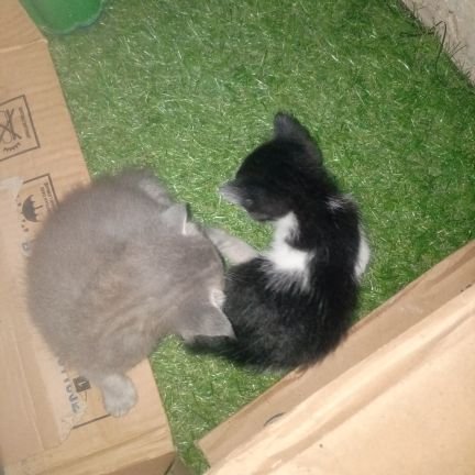 bennyhpg260973's profile picture. 