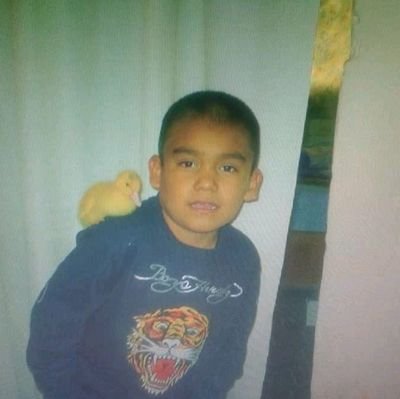 Multimaster71's profile picture. Animales exoticos🦎/Visitas Antiguas🏛/Blogs📷