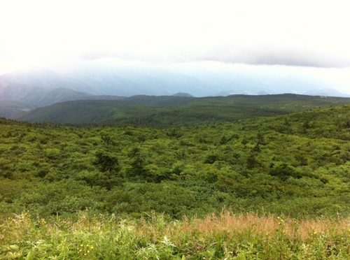 malib1012's profile picture. love beer ＆ music.